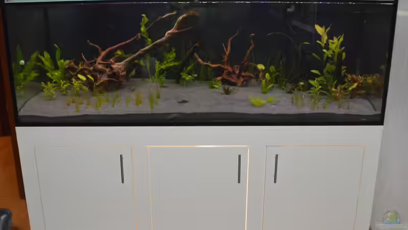 Hauptbild: 2018-01-18 von Achim Theobald (1)