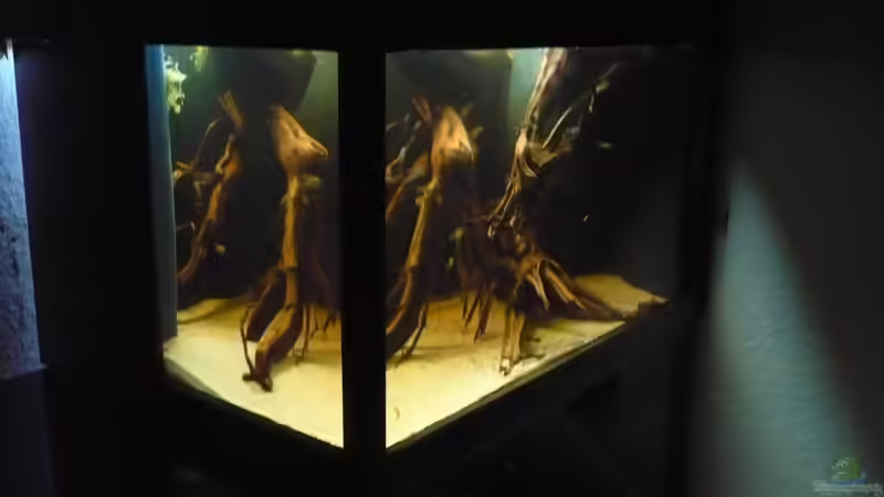 Hauptbild. Ansicht vom Bett aus! von Der Dortmunder (1)