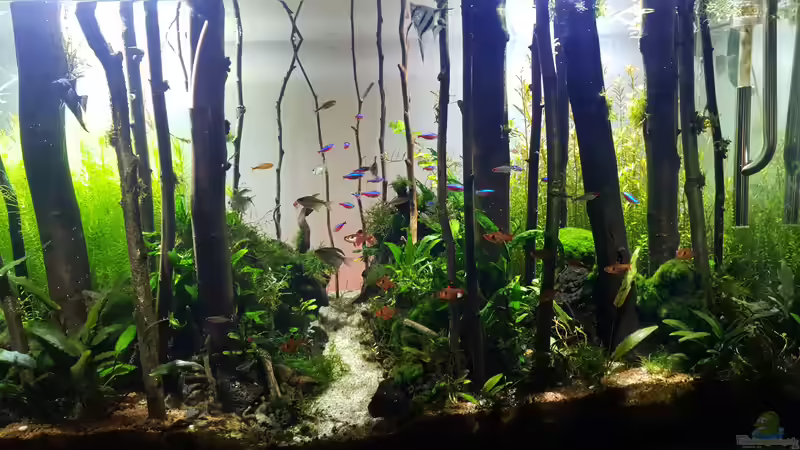 Hauptbild  von Leon (2)