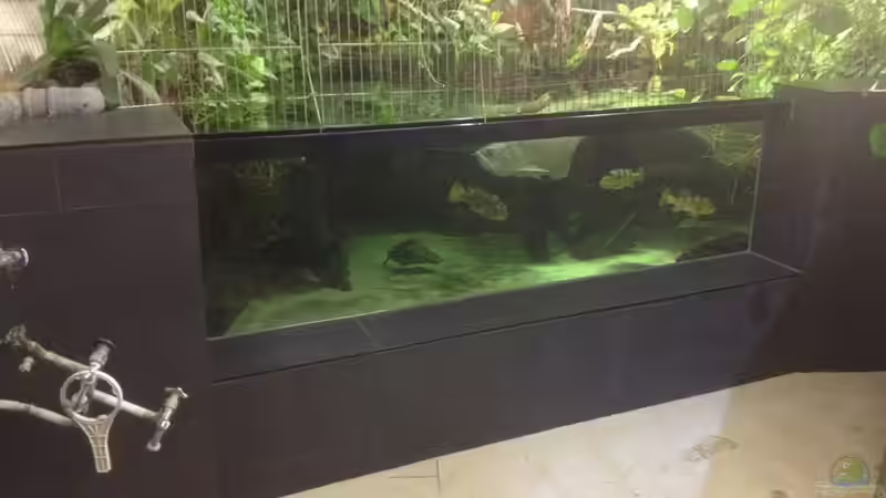 Hauptbild  von Leopold68 (11)