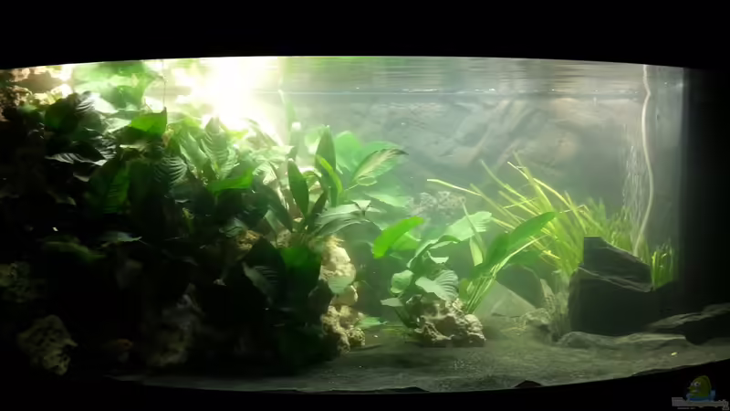 Hauptbild 02.12.2012