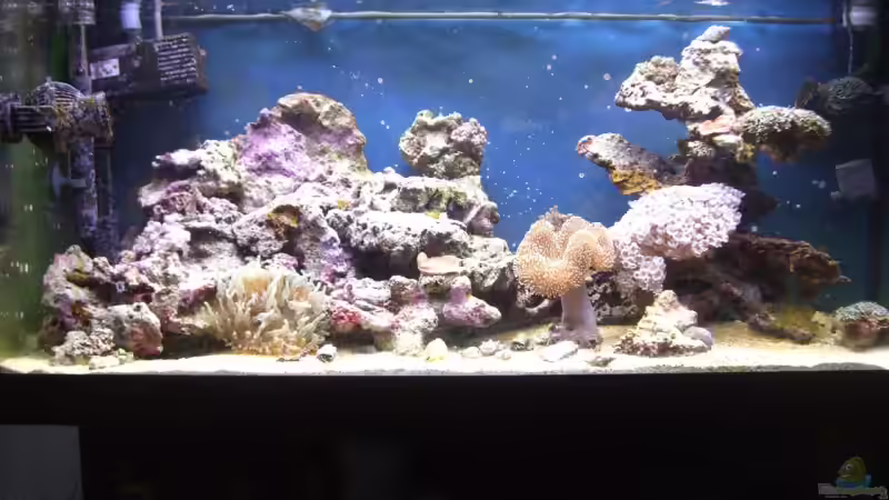 Hauptbild 03.09.2009 von -Nico- (1)