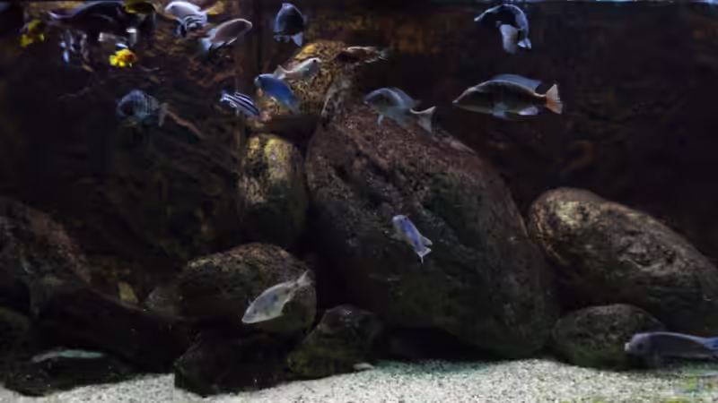 Hauptbild 12.06.2013 von Tom (1)