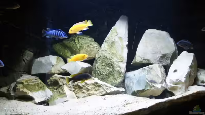 Hauptbild 15.09.2015 von Tom (1)