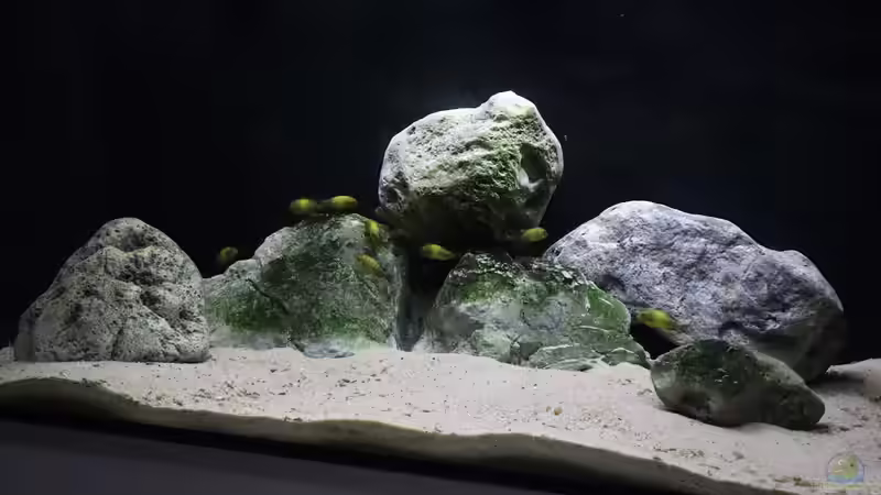 Hauptbild 18.08.2021 von Tom (1)