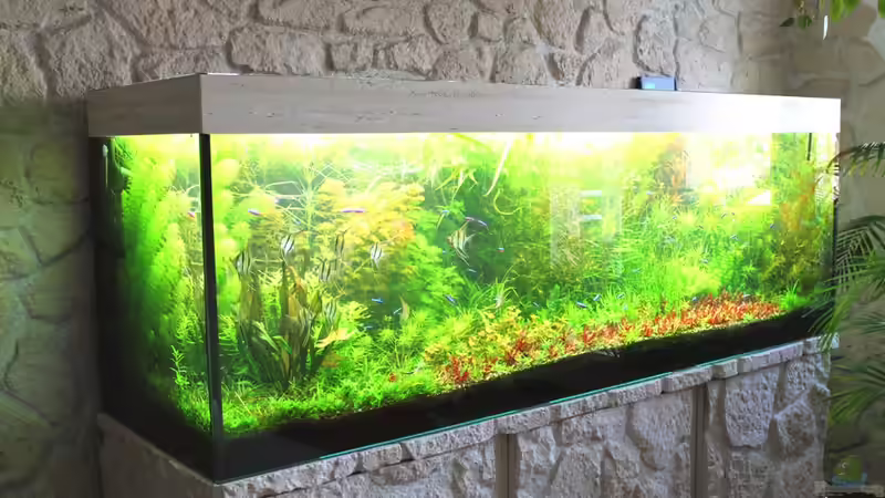 Hauptbild 20120512 von @mazonas (3)