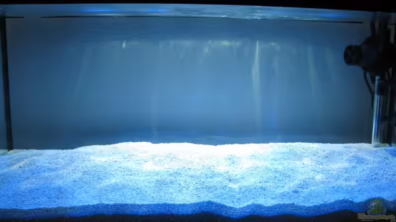 Hauptbild 21.11.2011 von Mibado