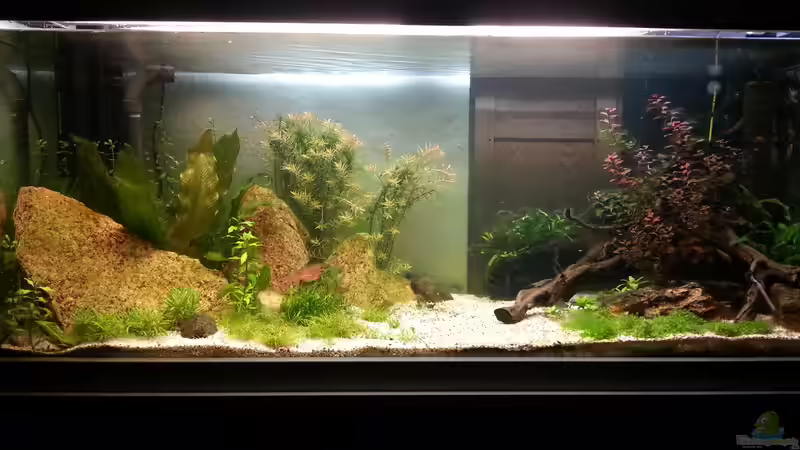 Hauptbild 6.9.15 von Jonas (Trancemania) (5)