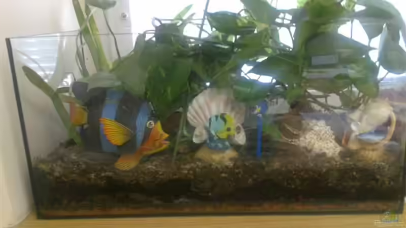 Hauptbild am 1. April ;-) von Heimo (16)