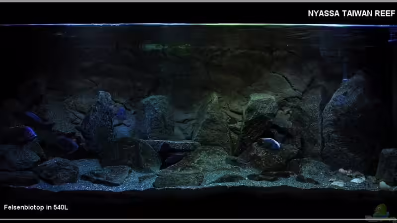 Hauptbild bis Feb`2011... von ***ELLIS*** (21)