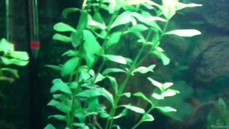 Hauptbild links hinten von Dennis und Katha (8)