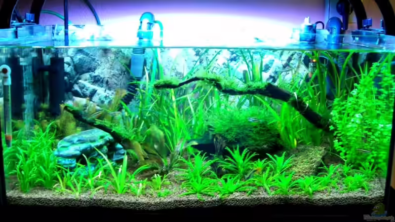 Hauptbild mit anderen  Lichtverhältnissen 27.12.07 von Thomas Schmidt (3)