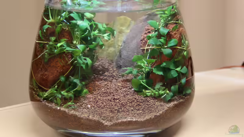 Hauptbild November 2014