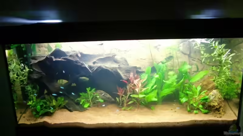 Hauptbild Nr.2 von SpL (5)