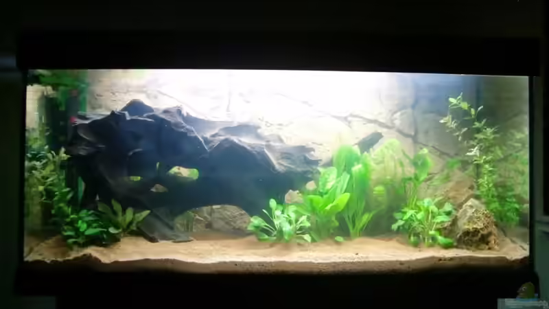 Hauptbild Nr1 von SpL (2)