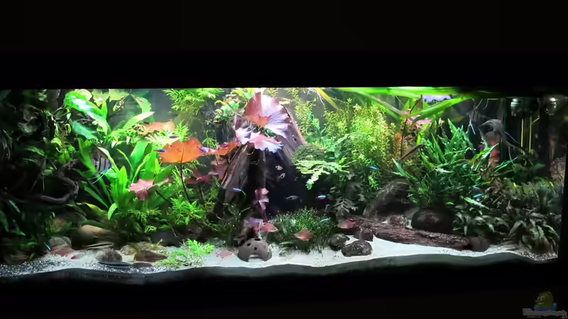 Hauptbild vom 05.03.2015 von Sarah (1)