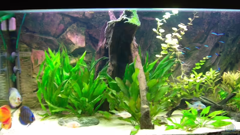 Hauptbild vom 25.09.07 von Lini (1)