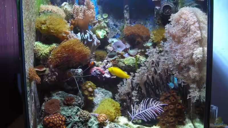 Hauptbild von 24.12.08