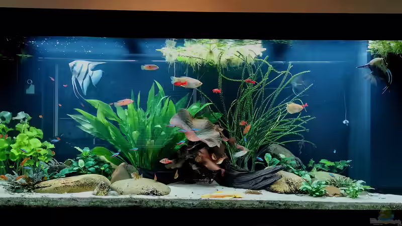 Hauptbild von Andi84 (1)