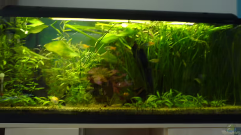 Hauptbild von Andrea Nädler (1)