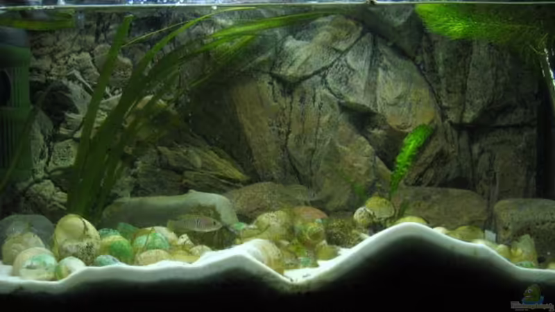 Hauptbild von Carsten Ziß (1)