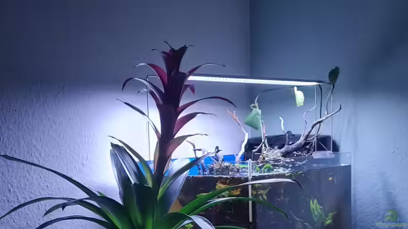 Hauptbild von David Schneider Aquaristik (1)