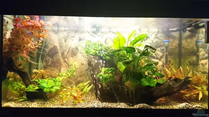 Hauptbild von Frank S (1)