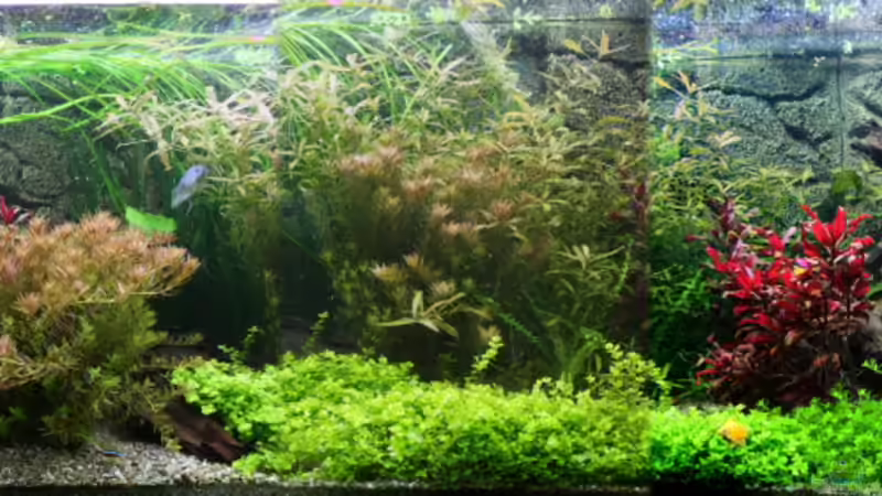 Hauptbild von haimik (1)