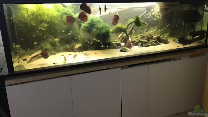 Hauptbild von Hannes Klotz (1)