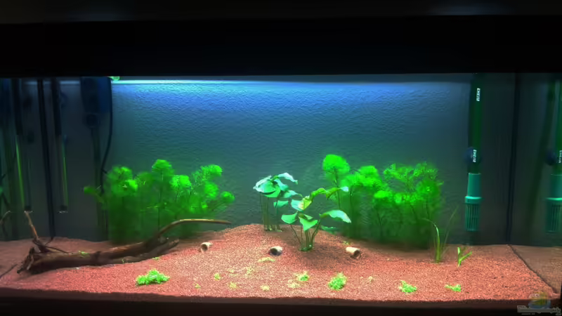 Hauptbild von Hotliner90 (1)