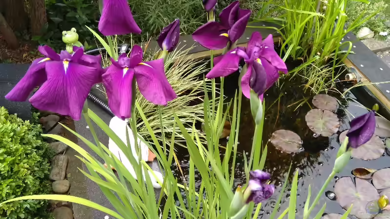 Hauptbild von HOTU (1)