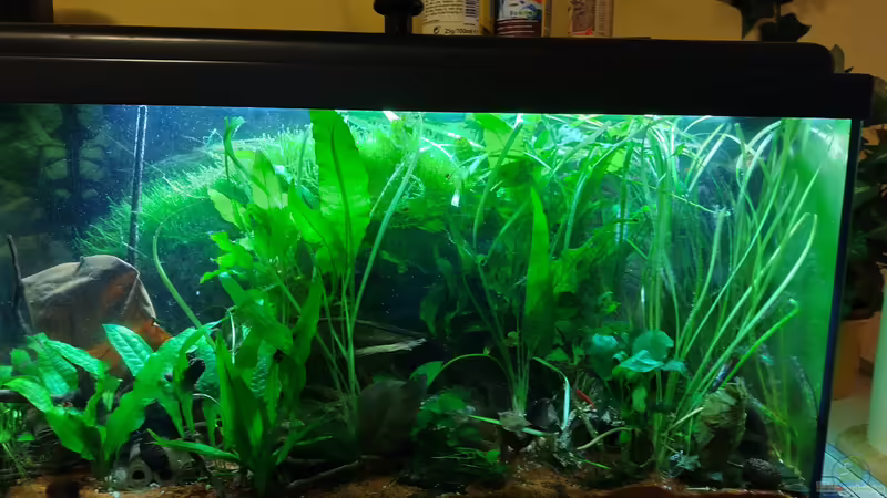 Hauptbild von HOTU (12)