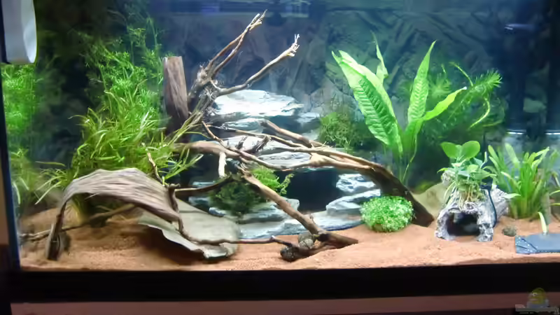 Hauptbild von HOTU (7)