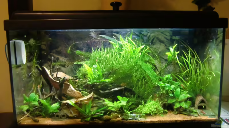 Hauptbild von HOTU (9)