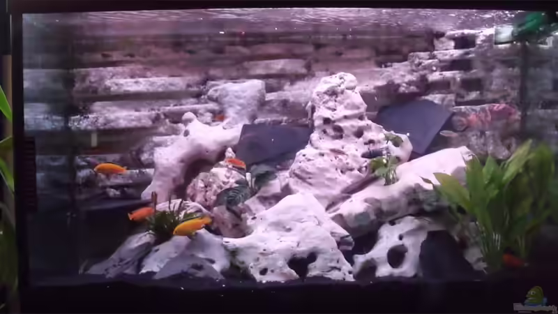 Hauptbild von IC-Killer (1)