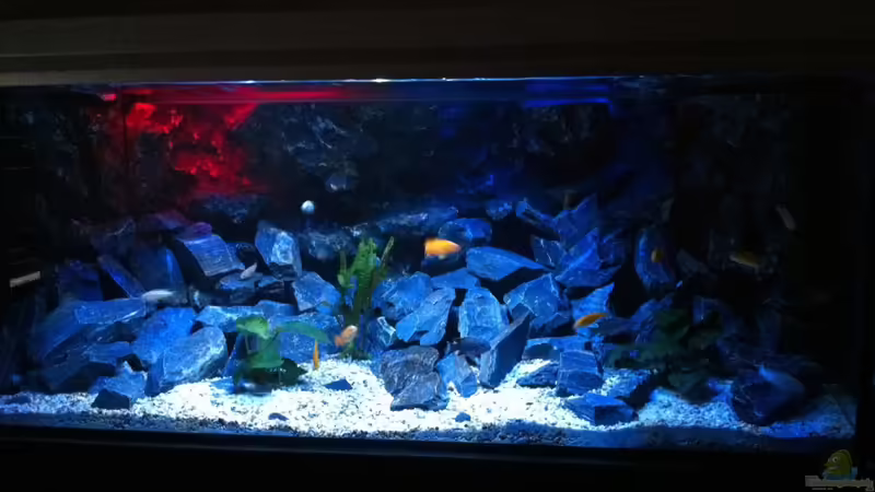 hauptbild von Jean-Paul Ambord (1)