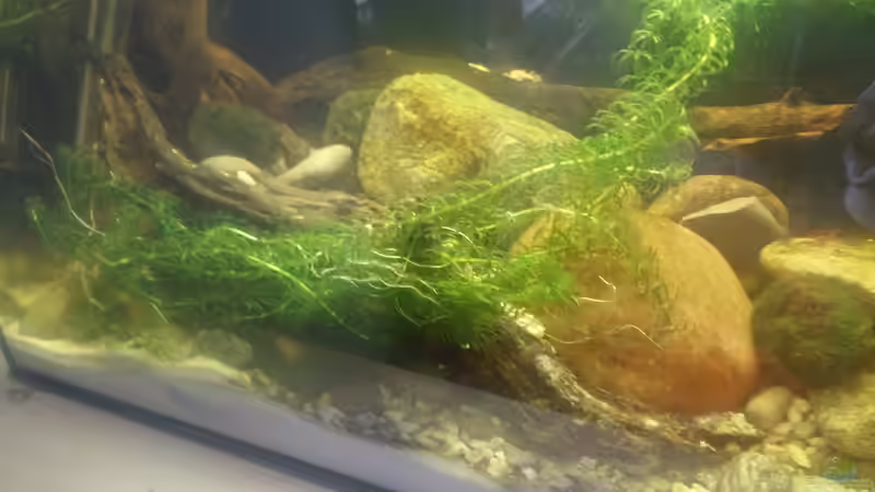 Hauptbild von Keathkliff (1)