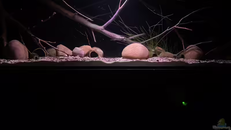 Hauptbild von Lowrey1983 (1)