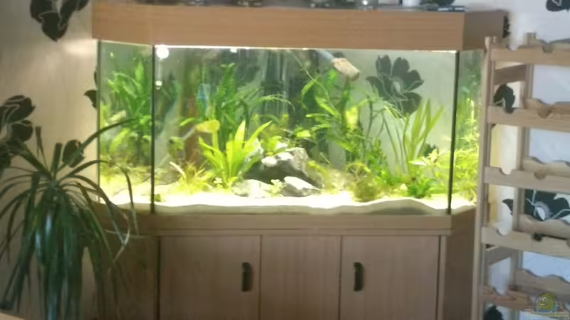 Hauptbild von m.k.b.1983 (3)