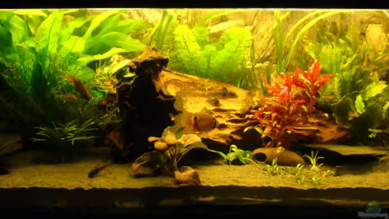 Hauptbild von Mario Max (1)