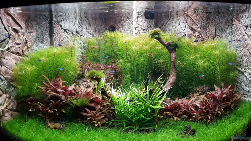 Hauptbild von Michael Müller (1)