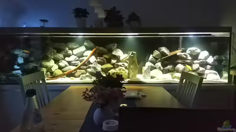 Hauptbild von Raid_0 (1)