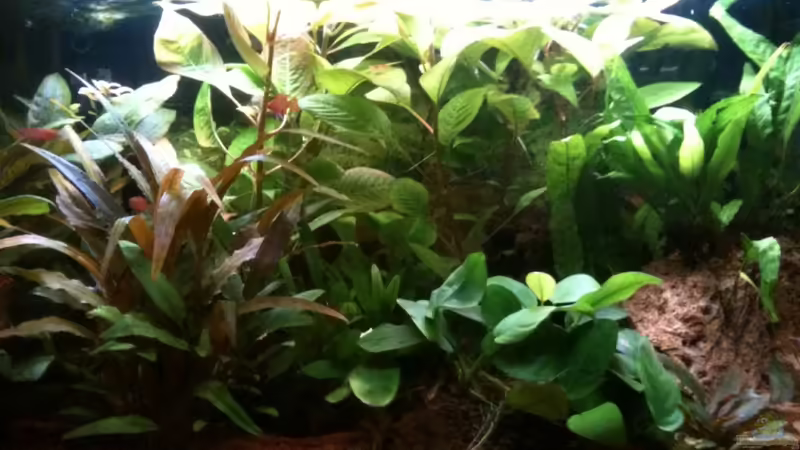 Hauptbild von Ray1975 (1)