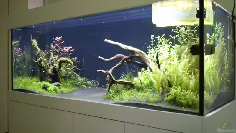 Hauptbild von Robbie (1)