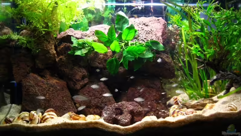 Hauptbild vor Umbau von André Martin (5)