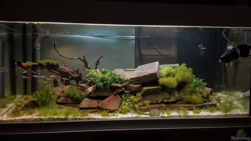 Hauptblick 1 06.11.16 von Jonas (Trancemania) (2)