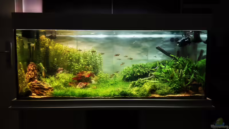 Hauptblick 14.07.2016 von Jonas (Trancemania) (2)