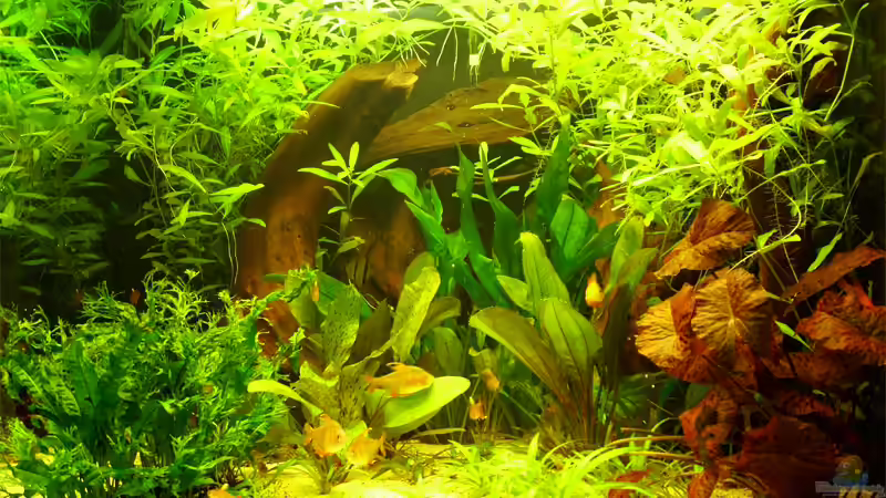 Hauptblickrichtung von Ulrich Corsten (3)