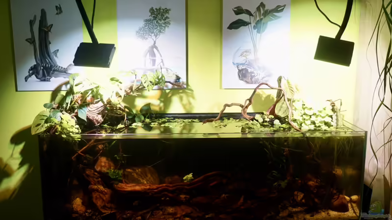 Hauptfoto von _Mike_ (1)