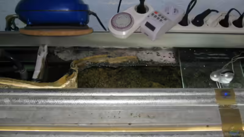 Hauptkammer links/ 2x2 cm  Filterschwamm von Axel Borck (8)